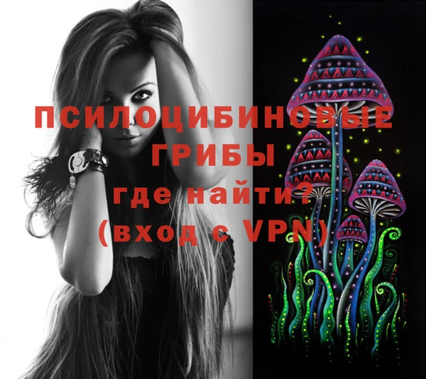 гашик Алзамай