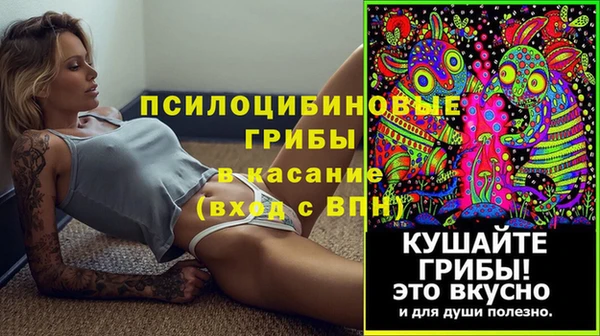 прущие крисы Алексеевка