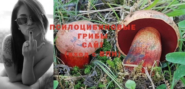 герыч Алексин