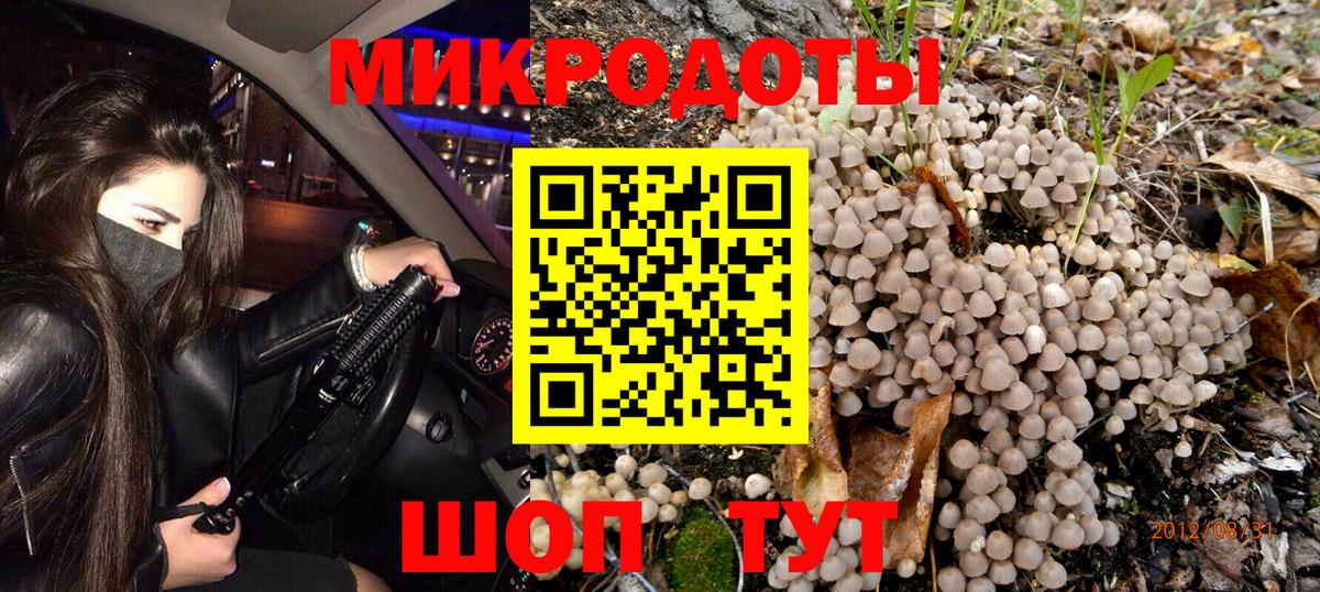 Галлюциногенные грибы Psilocybine cubensis Дедовск