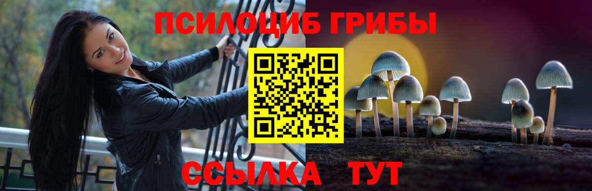 Дедовск  Псилоцибиновые грибы мицелий  Вход с VPN 